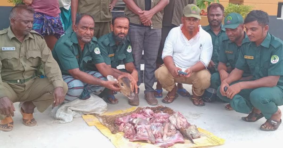 শ্যামনগরে হরিণের ১৫ কেজি মাংস উদ্ধার