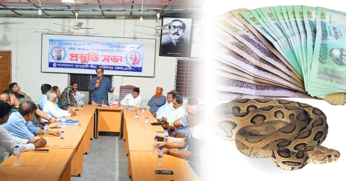 ফরিদপুরে রাসেলস ভাইপার মারলেই ৫০ হাজার টাকা পুরস্কার!