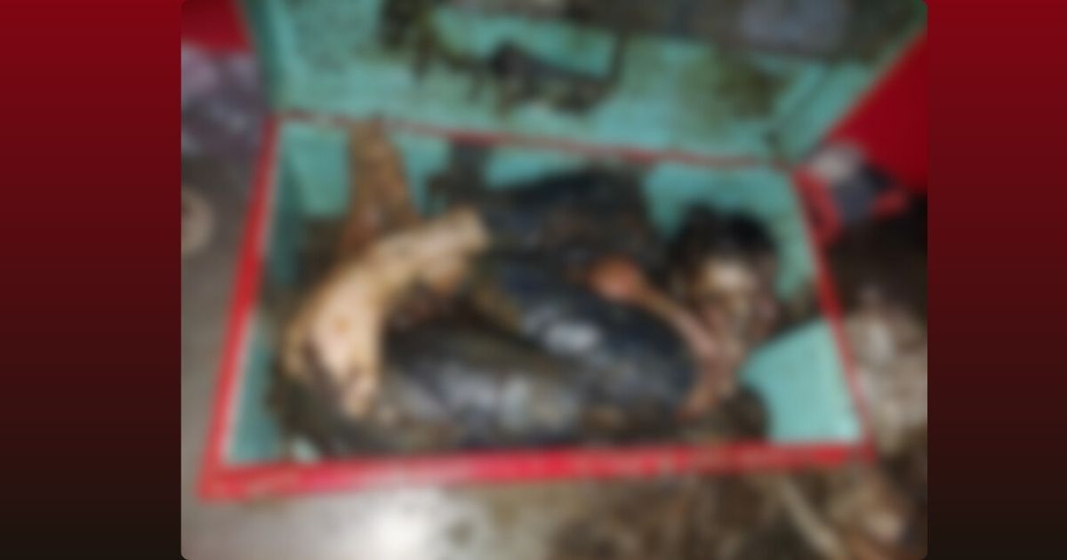 ঈশ্বরদীতে কিশোরের ট্রাংকবন্দী লাশ উদ্ধার