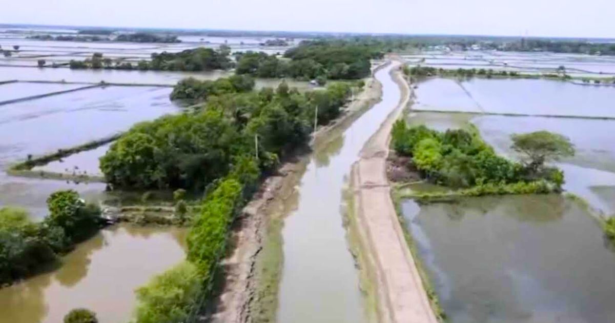 খুলনায় ৫ বছরে কমেছে ৪ হাজার ৭৮৬ হেক্টর চিংড়ি ঘের