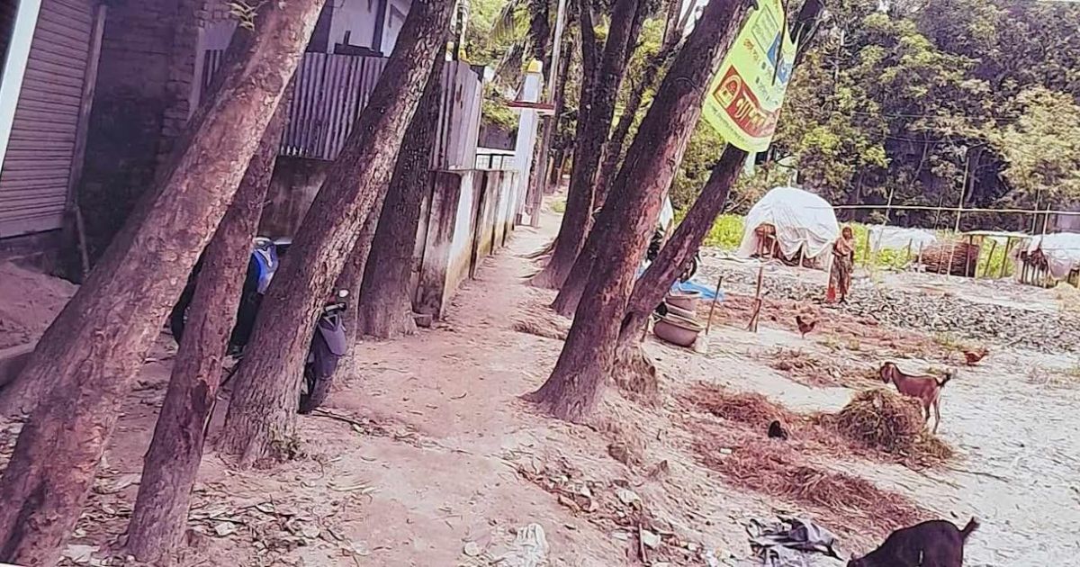 চার ট্রাক মাটির দাম এক লাখ ১৯০ টাকা