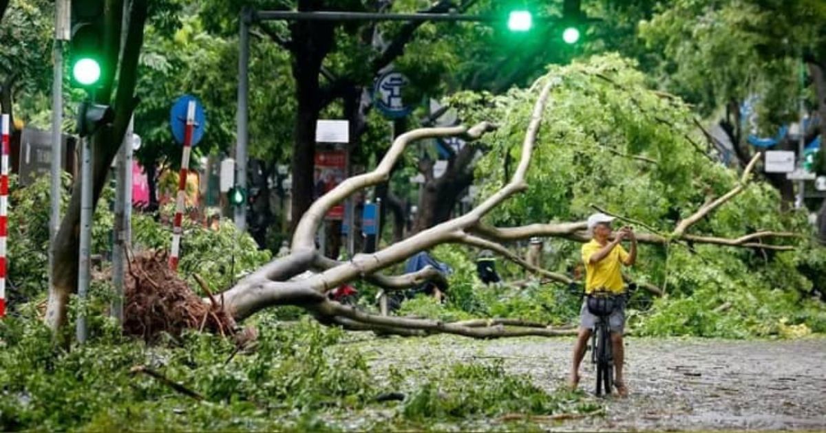 সুপার টাইফুনের আঘাতে ভিয়েতনামে প্রাণহানি বেড়ে ১৭৯