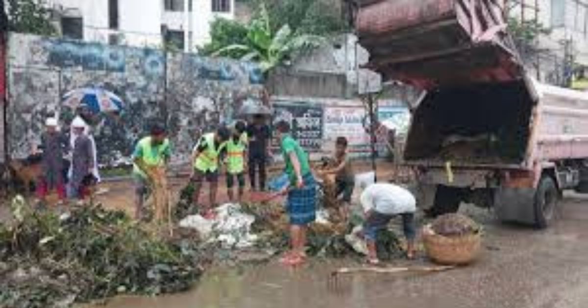 শতভাগ কোরবানির বর্জ্য অপসারণের দাবি ডিএনসিসির