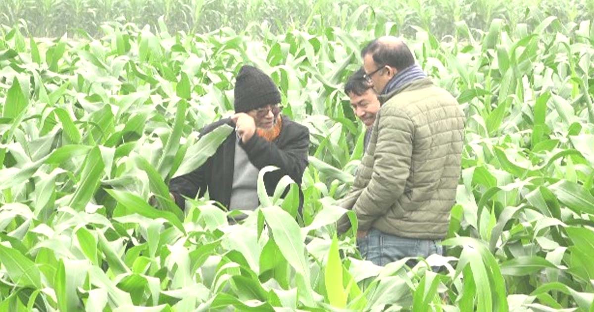 রাইসমিলের ছাইয়ে গবেষণা কার্যক্রম ব্যাহত