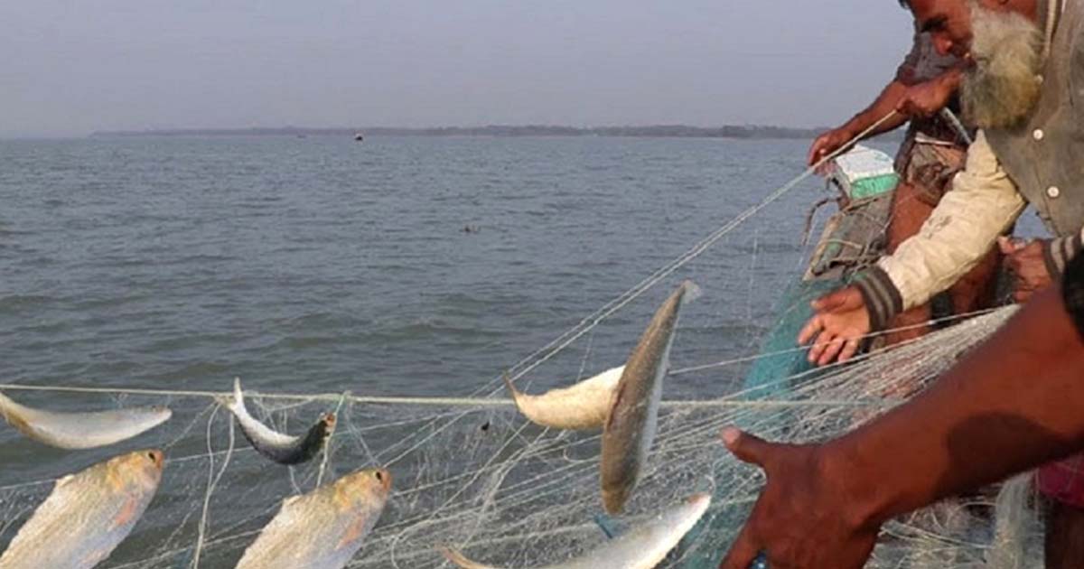 নিষেধাজ্ঞা শেষে ইলিশ শিকারে সাগরে জেলেরা