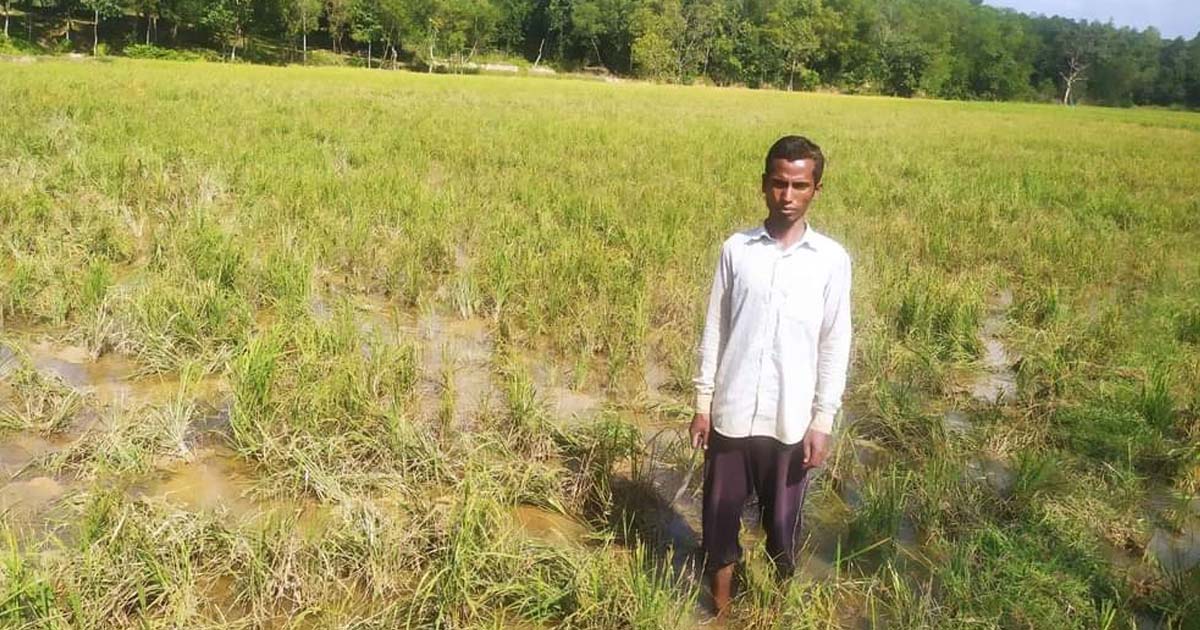 পাহাড়ে চাষির স্বপ্ন বন্যহাতির পেটে