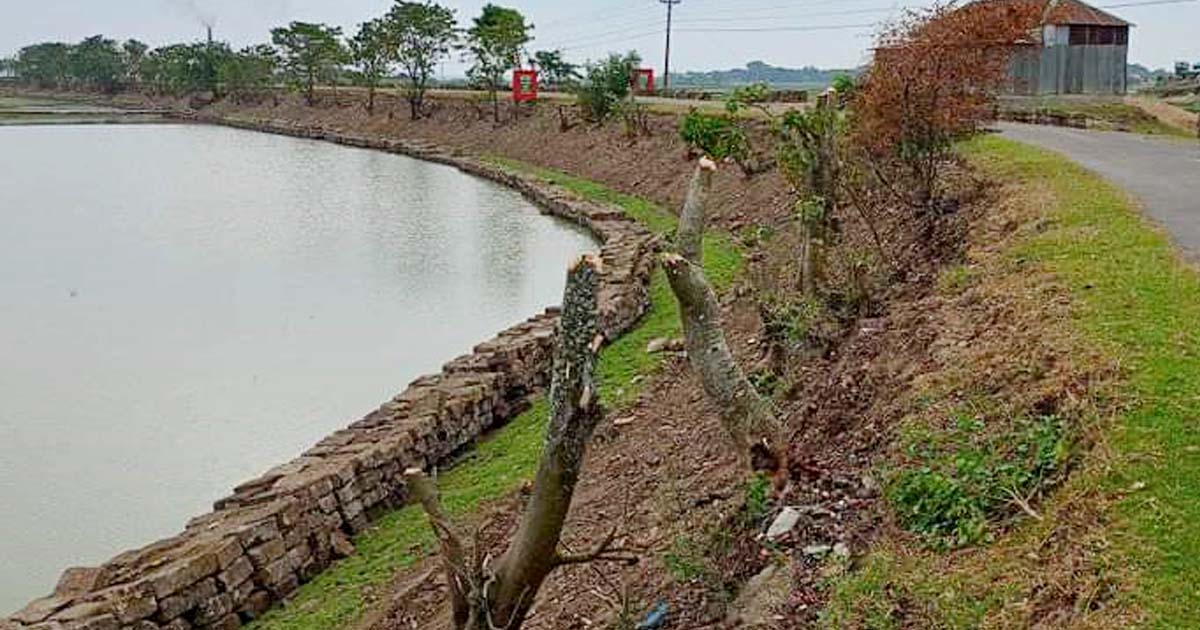 পরিবেশ রক্ষায় পদক্ষেপ জরুরি