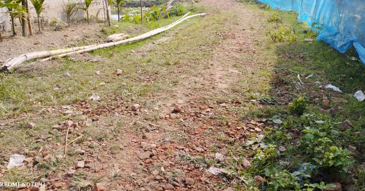 নির্মাণাধীন রাস্তা আগাছায় ভরপুর