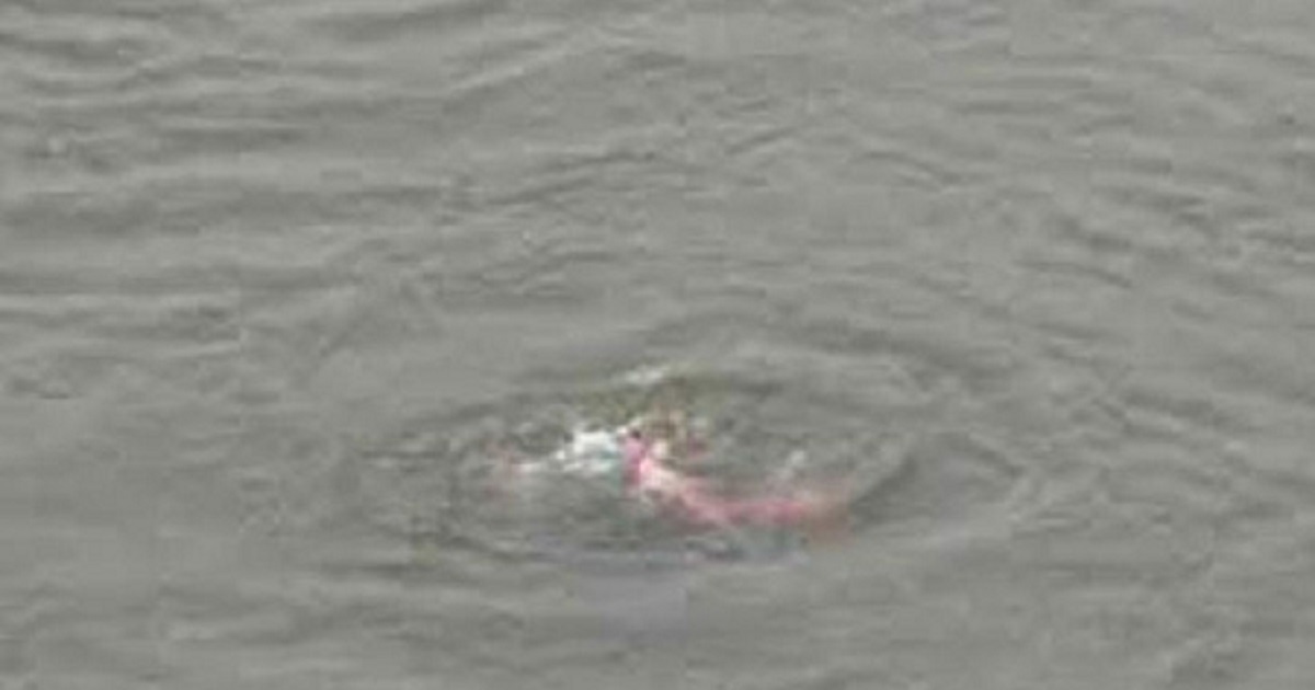 ব্রাহ্মণবাড়িয়ায় পানিতে ডুবে দুই শিশুর মৃত্যু