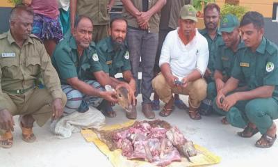 শ্যামনগরে হরিণের ১৫ কেজি মাংস উদ্ধার