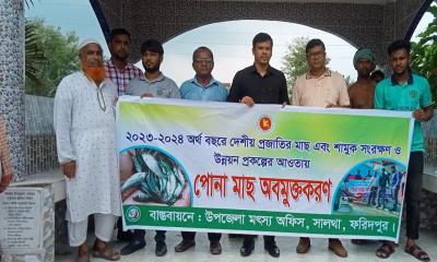 সালথায় দেশীয় প্রজাতির পোনা মাছ অবমুক্তকরণ