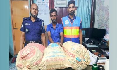 চাঁদপুরে ১৫ কেজি গাঁজাসহ যুবক আটক