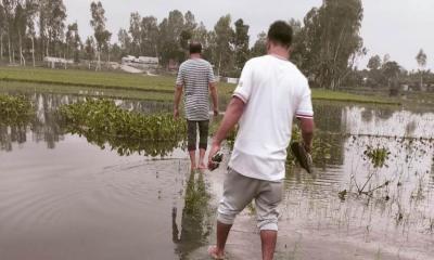 রৌমারীতে রাস্তা না থাকায় চরম দুর্ভোগে ৩ গ্রামবাসী