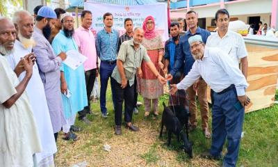 ডামুড্যায় বিনামূল্যে ছাগল বিতরণ