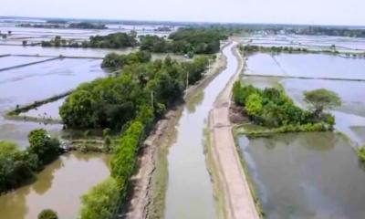 খুলনায় ৫ বছরে কমেছে ৪ হাজার ৭৮৬ হেক্টর চিংড়ি ঘের