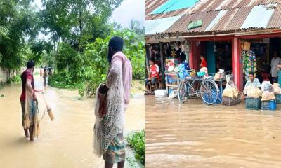 ফেনীতে বন্যায় ভাসল ৩২৫টি পুকুর, মৎস্যখাতে ব্যাপক ক্ষতি!
