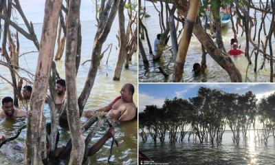 নিকলীর করছ গাছ এলাকা পর্যটনের অপার সম্ভাবনা