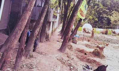 চার ট্রাক মাটির দাম এক লাখ ১৯০ টাকা