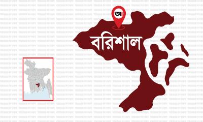 চেয়ারম্যান প্রার্থীর প্রচারে সহকারী প্রিজাইডিং অফিসার