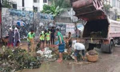 শতভাগ কোরবানির বর্জ্য অপসারণের দাবি ডিএনসিসির