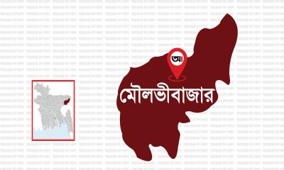 বড়লেখার দক্ষিণ ভাগ ইউনিয়নের উপনির্বাচনে প্রতীক বরাদ্দ