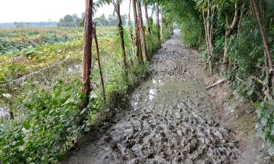 অর্থনৈতিক উন্নয়নে বাধা তিন কিলোমিটার রাস্তা