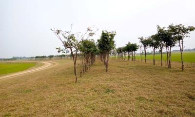 মধ্যনগরে সম্ভাবনাময় গোপেশ বাগ