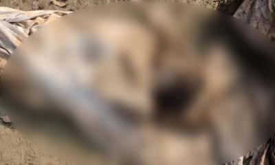 সালথায় চুরি হওয়া লাশ সদৃশ্য কঙ্কাল উদ্ধার