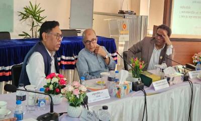 সোলার ইরিগেশন পাম্পের ব্যবহার বাড়াতে হবে: উপদেষ্টা