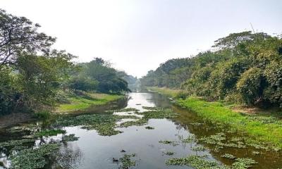 দখল দূষণে এক সময়ের ‘খরস্রোতা বেগবতী’ এখন মরা খাল