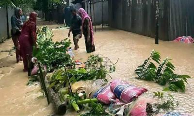শেরপুরে হঠাৎ বন্যা, পানিবন্দি ২ উপজেলাবাসী