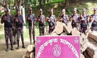 রাঙ্গামাটির বরকলে অবৈধ সেগুন কাঠ উদ্ধার