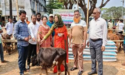কলমাকান্দায় ক্ষুদ্র নৃ-গোষ্ঠীর মাঝে ষাঁড় বাছুর বিতরণ