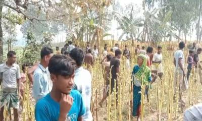 মাছ ধরাকে কেন্দ্র করে বাংলাদেশিকে পেটাল ভারতীয় নাগরিকরা