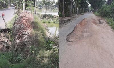 মাছের ঘেরে গাছ, সড়কে গর্ত: অভয়নগরে অচলাবস্থা