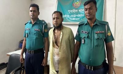 পূবাইলে শিশু বলাৎকারের অভিযোগে গ্রেফতার ১