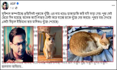 বিড়ালের জন্য পঞ্চাশ হাজার টাকা পুরস্কার ঘোষণা আসিফের, থানায় জিডি