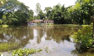 বড়লেখা ও জুড়ীতে ফের বন্যার পানি বৃদ্ধি