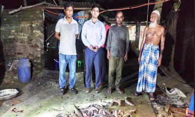 বরিশালে ৯২ কেজি রাক্ষুসে মাগুর জব্দ