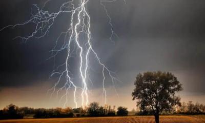 কালিয়াকৈরে বজ্রপাতে গরুর মৃত্যু