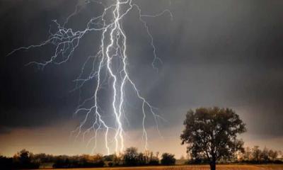 নেত্রকোণায় বজ্রপাতে ৩ জনের মৃত্যু