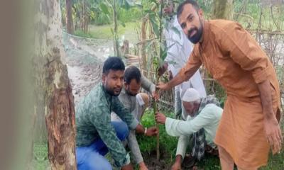 ‘পীরগাছা সোসাইটির’ ৩ দিনব্যাপী বৃক্ষরোপণ কার্যক্রম অনুষ্ঠিত