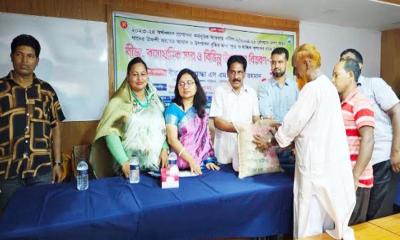 চৌগাছায় বিনামূল্যে ধানের বীজ পাচ্ছেন ১৭৪০ জন কৃষক