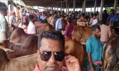 কুড়িগ্রামে জমে উঠেছে কোরবানির পশুর হাট