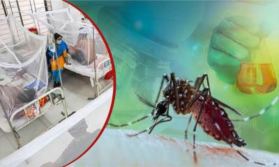 একদিনে ২৮৮ জন ডেঙ্গু আক্রান্ত, বরিশালেই ২৬১