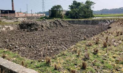 ফেনীতে রাতের আঁধারে কৃষিজমির মাটি লুট