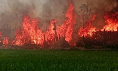 ভেড়ামারায় আগুনে পুড়ে কোটি টাকার পান বরজ ছাই