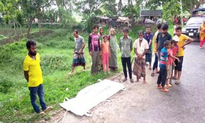 মেহেরেপুরে সড়ক দুর্ঘটনায় মানসিক প্রতিবন্ধী নিহত