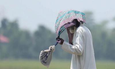 গোপালগঞ্জে হিট স্ট্রোকে প্রাণ গেল কৃষকের