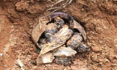 গাজীপুরে মাটি খুঁড়তেই কলসভর্তি গ্রেনেড